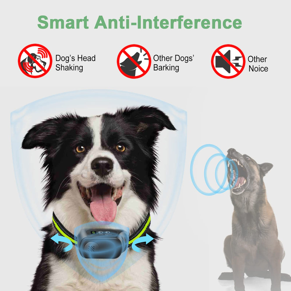 CZCCWD Two reflective belts improve nighttime visibility during walks.