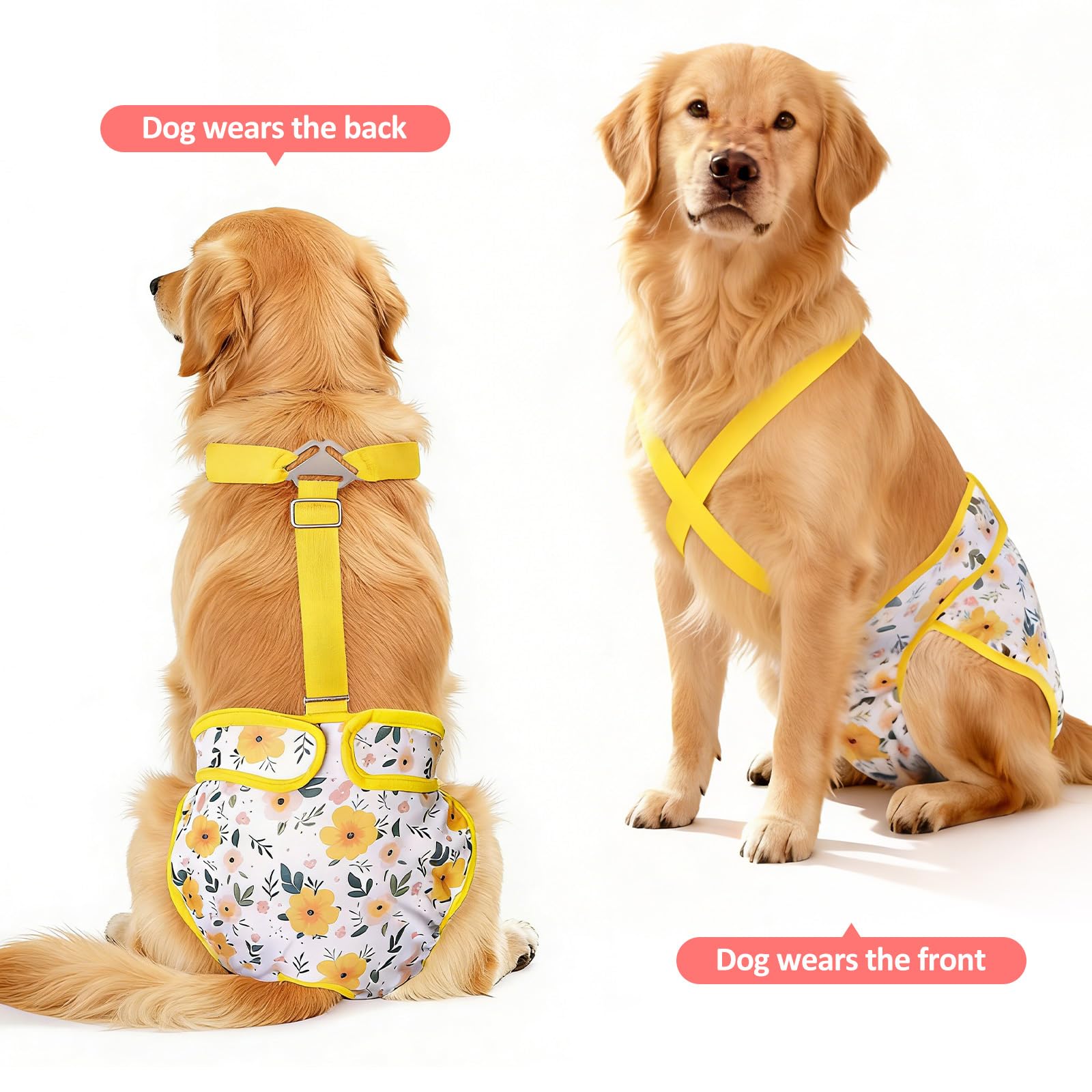 CZMIYRPY tail-hole design keeps the dog's tail comfortable while wearing.