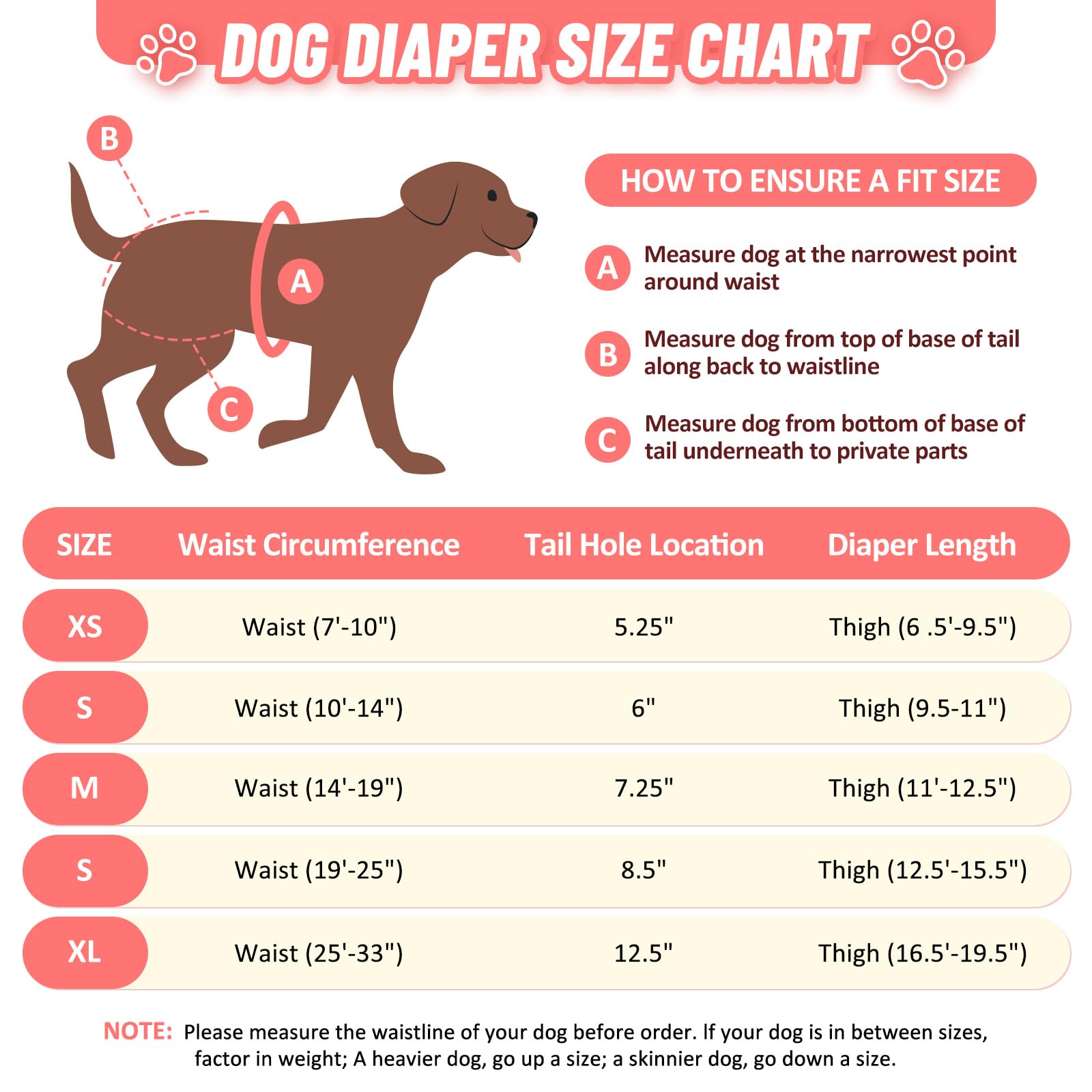 CZMIYRPY washable dog diapers heat-ready with white lining for visibility.
