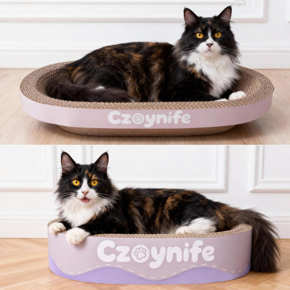 Czoynife purple cat scratcher nest in vibrant lounging nook