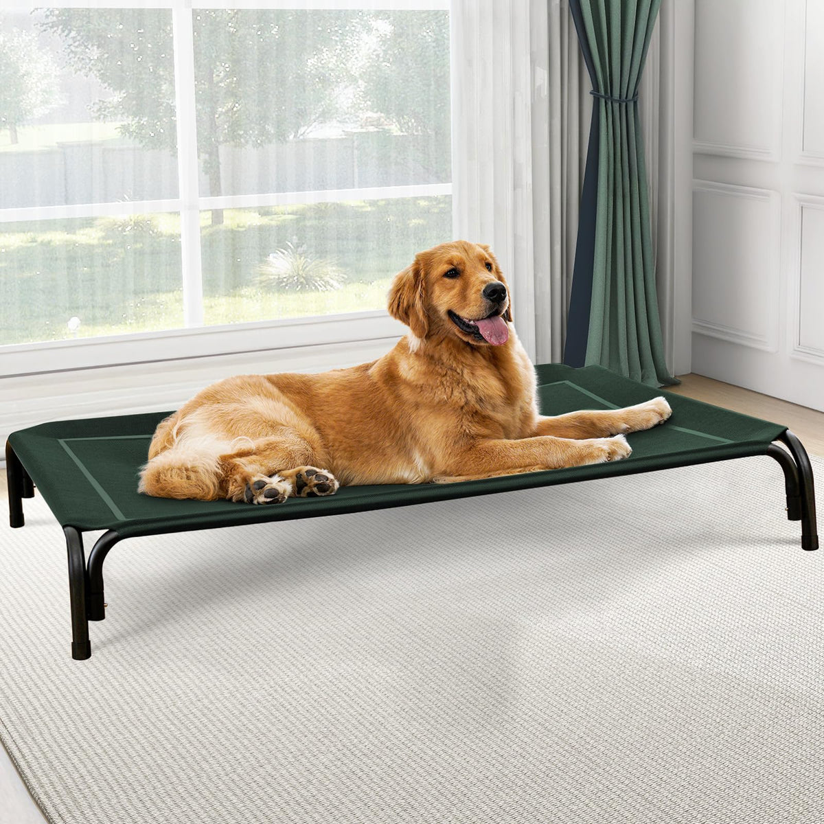 Czpalo elevated dog bed frame offers sturdy support for joints and comfort.