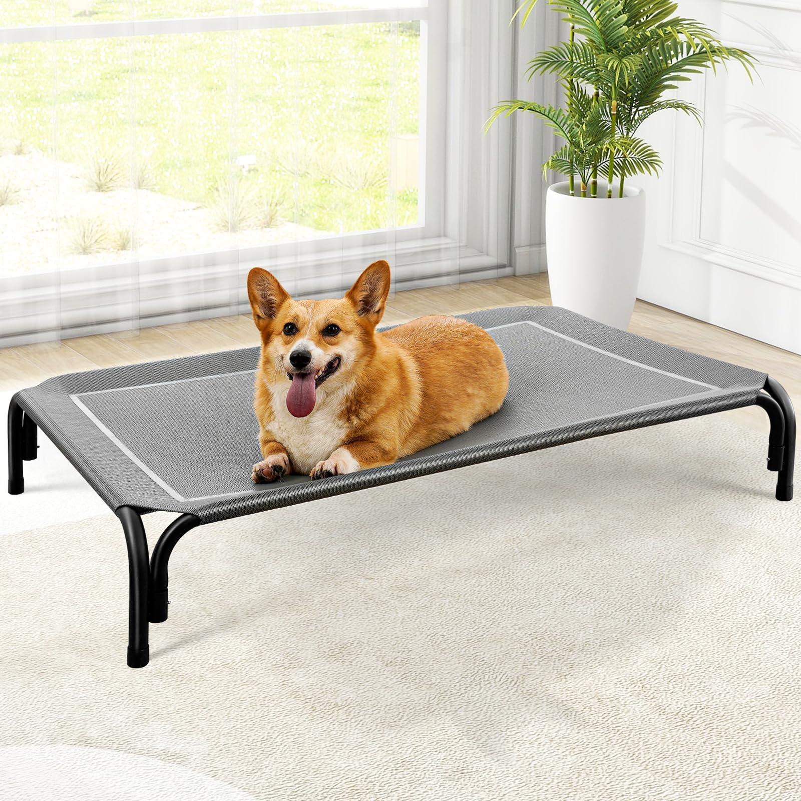 Czpalo elevated dog bed frame, sturdy metal construction for durable indoor outdoor use.