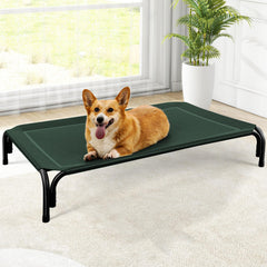 Czpalo elevated dog bed frame shows sturdy support and breathable comfort.