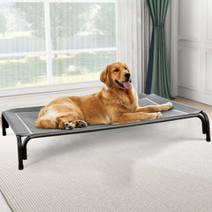 Czpalo elevated dog bed overview showing spacious XL cot for indoor and outdoor use.