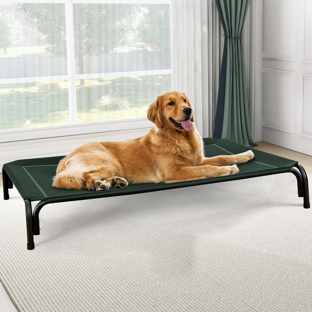 Czpalo elevated pet bed with breathable mesh for cool outdoor lounging.