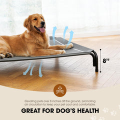 Czpalo portable dog bed assembled quickly for camping or travel convenience.