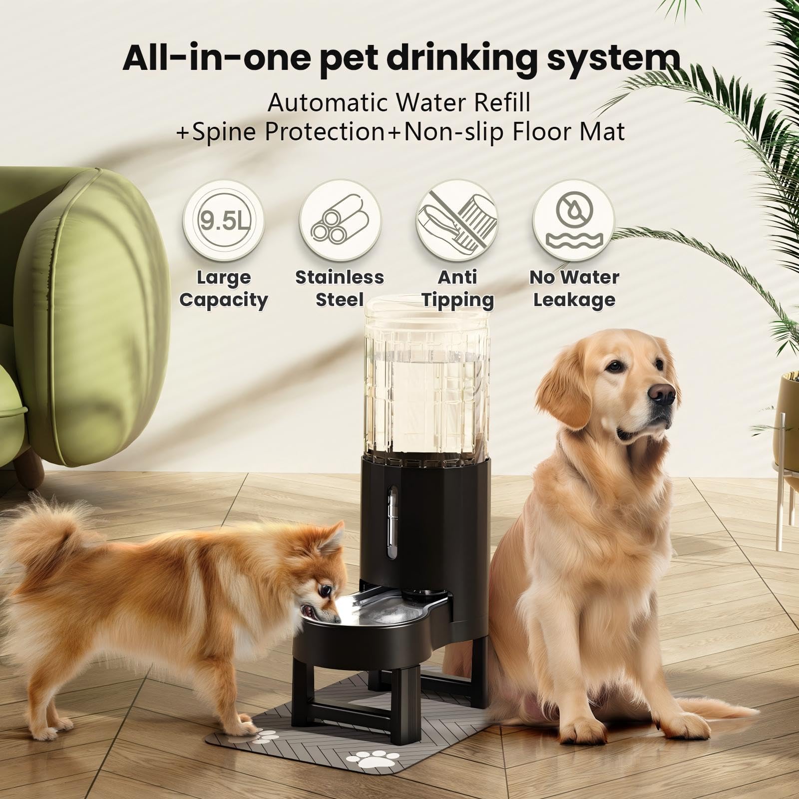CZPET elevated water dispenser stand promoting comfortable drinking height