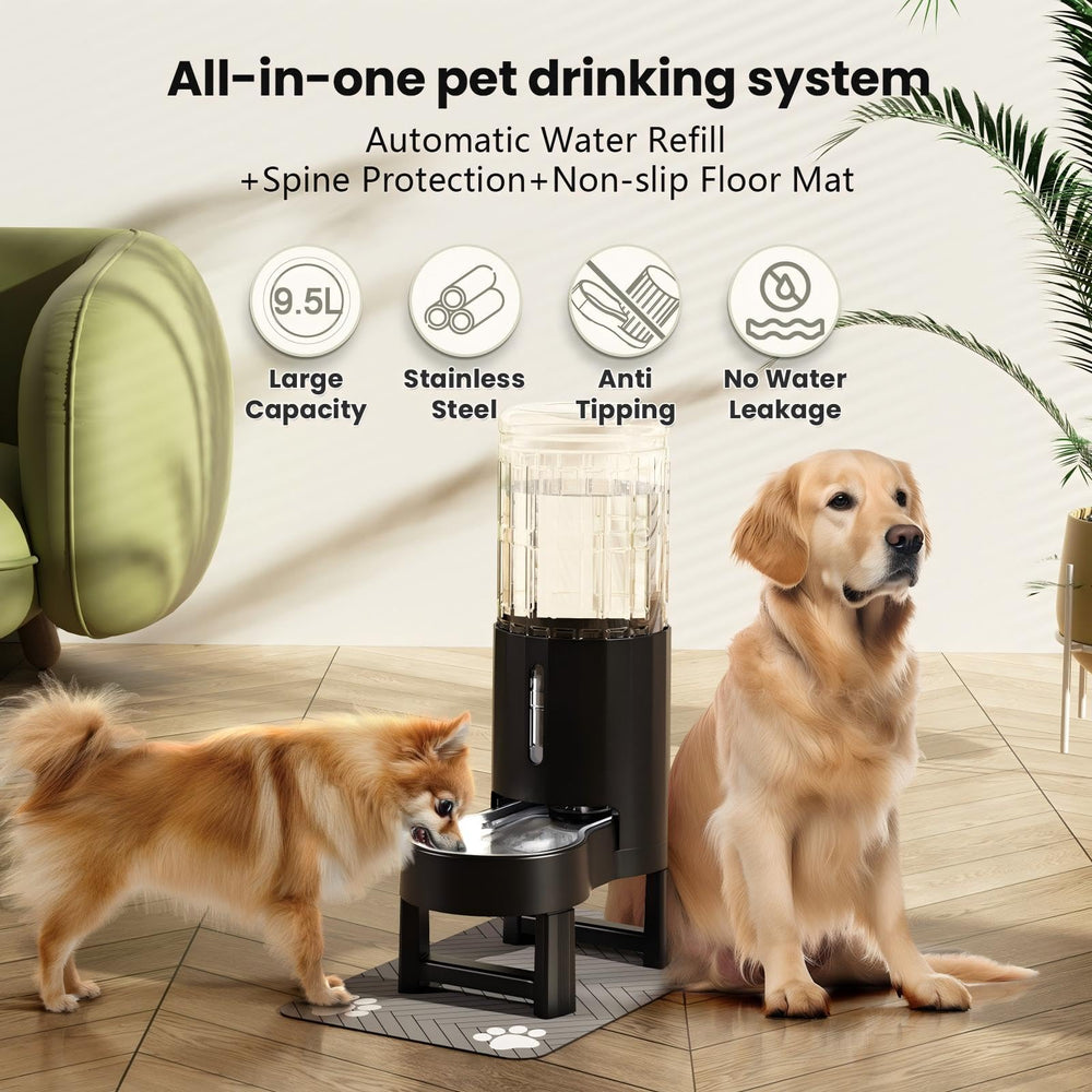 CZPET elevated water dispenser stand promoting comfortable drinking height