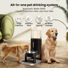 CZPET elevated water dispenser stand promoting comfortable drinking height