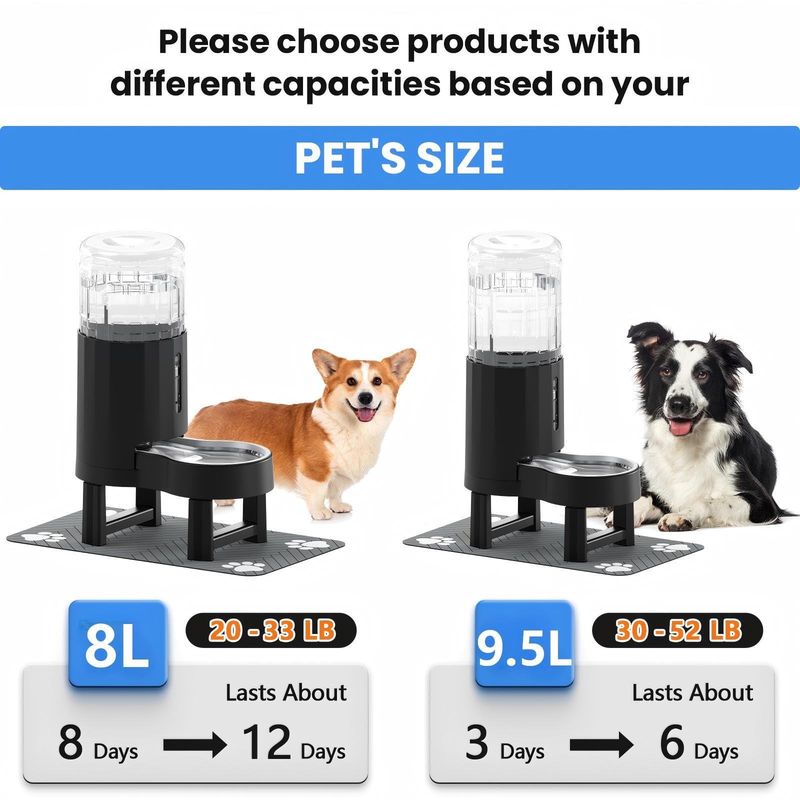 CZPET quiet-flow design minimizes splashing in a dog water dispenser