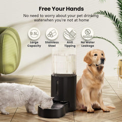 CZPET water dispenser with removable stainless steel bowl for hygienic use.