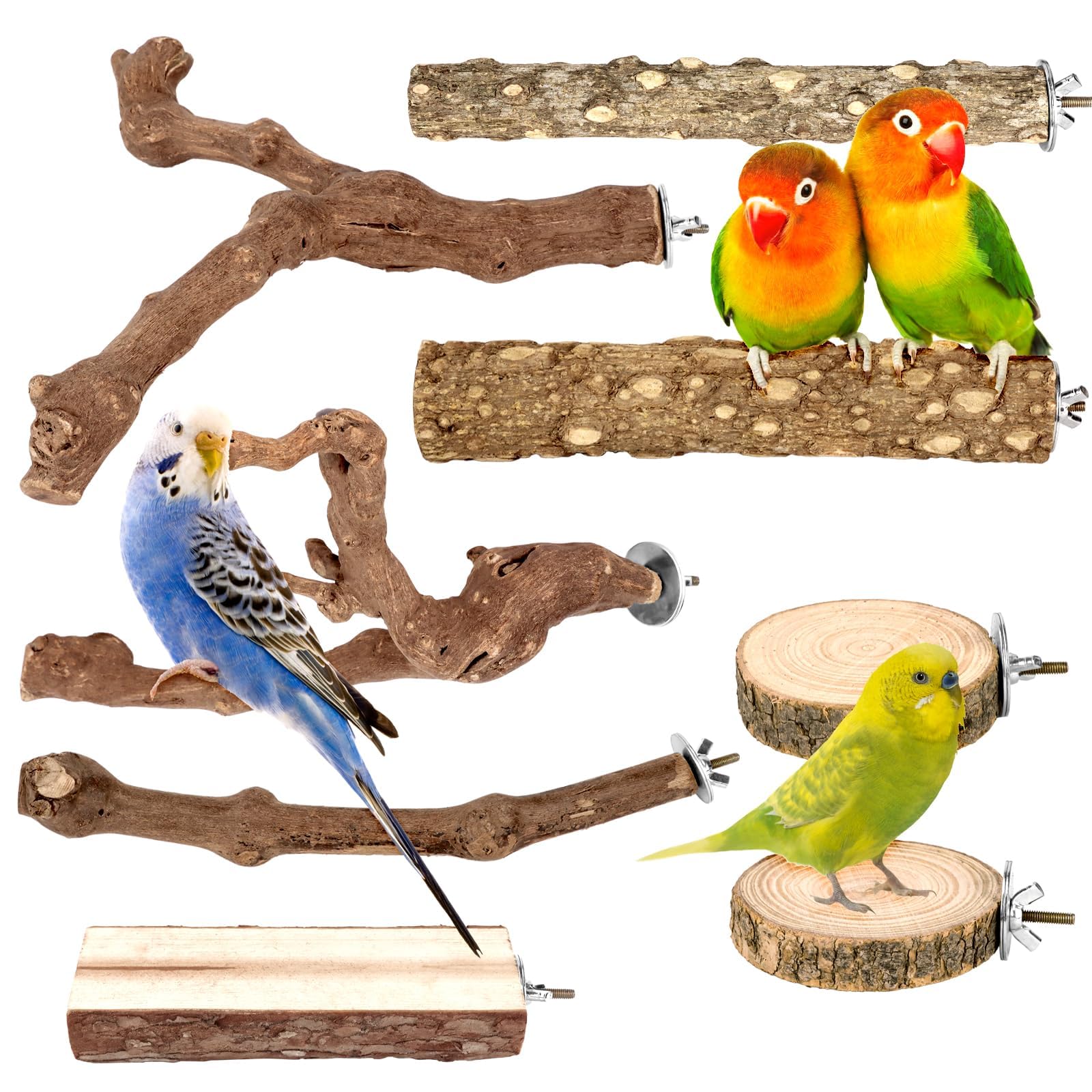 CZWESTC forked grapevine branch 9.8in promotes natural climbing and secure grip.
