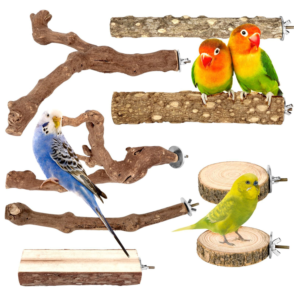 CZWESTC forked grapevine branch 9.8in promotes natural climbing and secure grip.