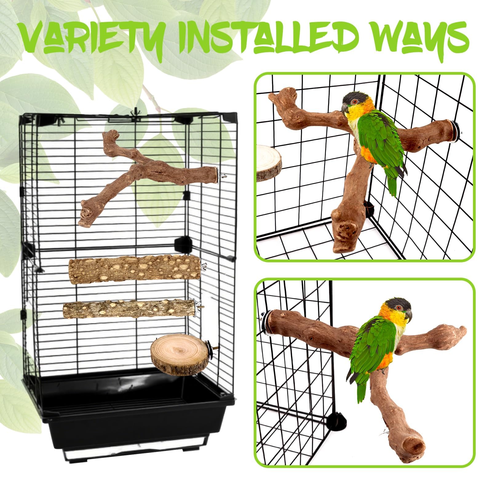 CZWESTC round perch base 2.4in provides stable footing.