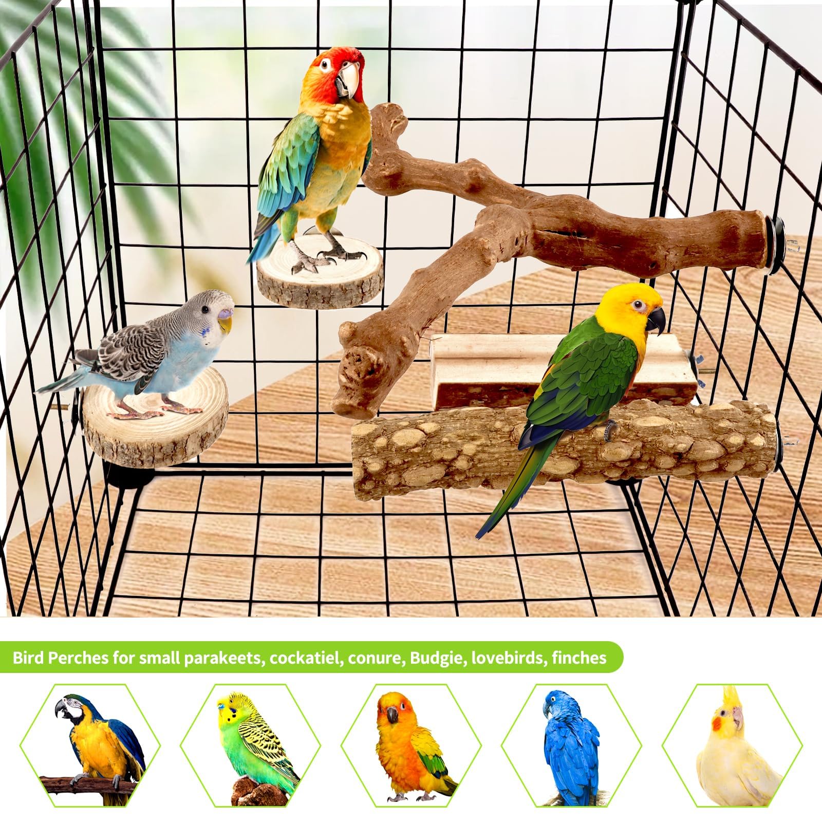 CZWESTC round perch base 2.4in supports multi-angle climbing.