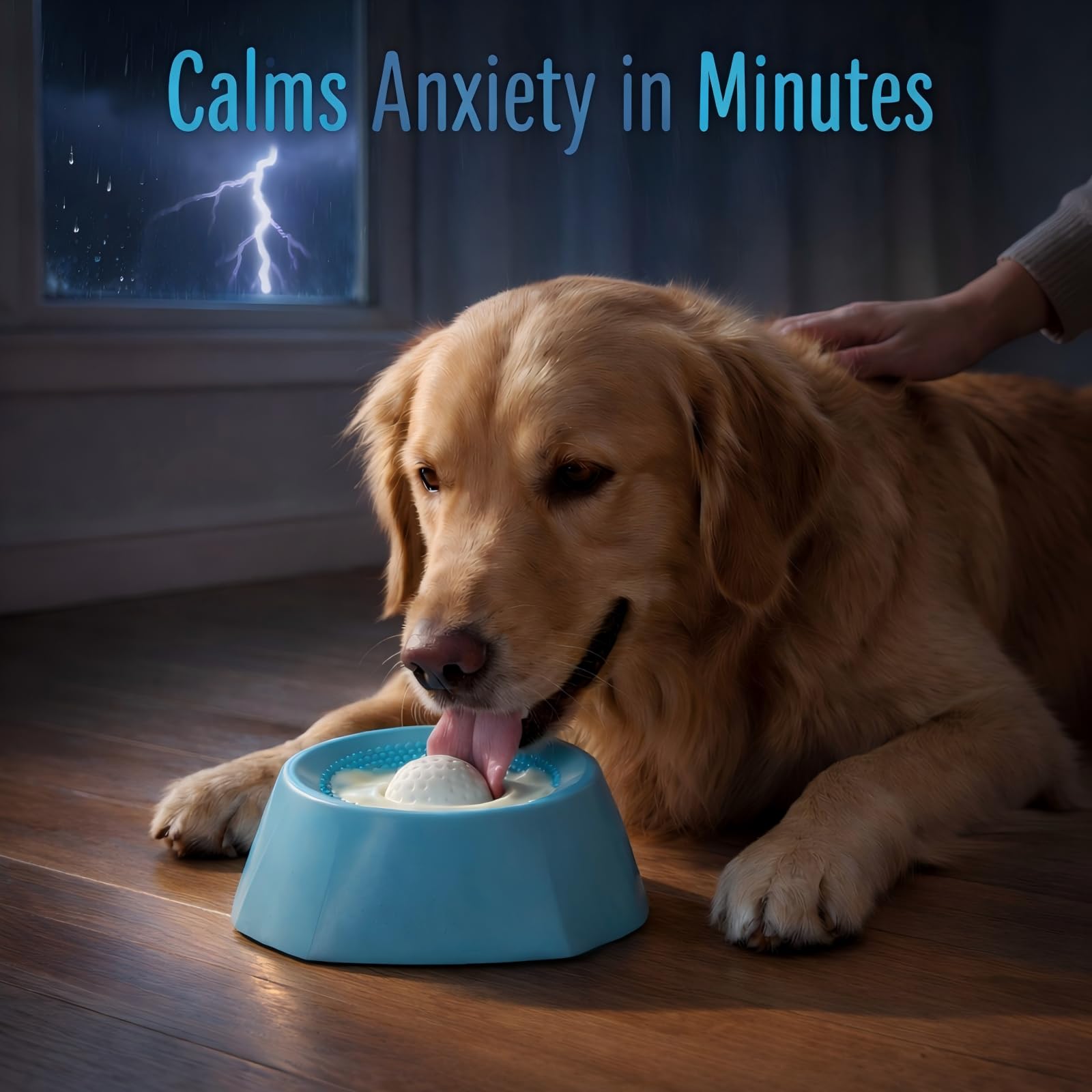 Dadanfly enrichment toy supports training and reduces boredom-induced chewing.