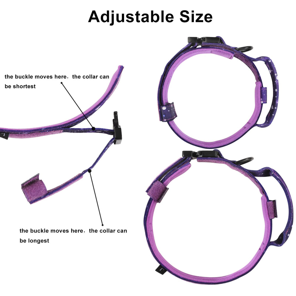 DAGANXI heavy metal buckle with quick-release for safety