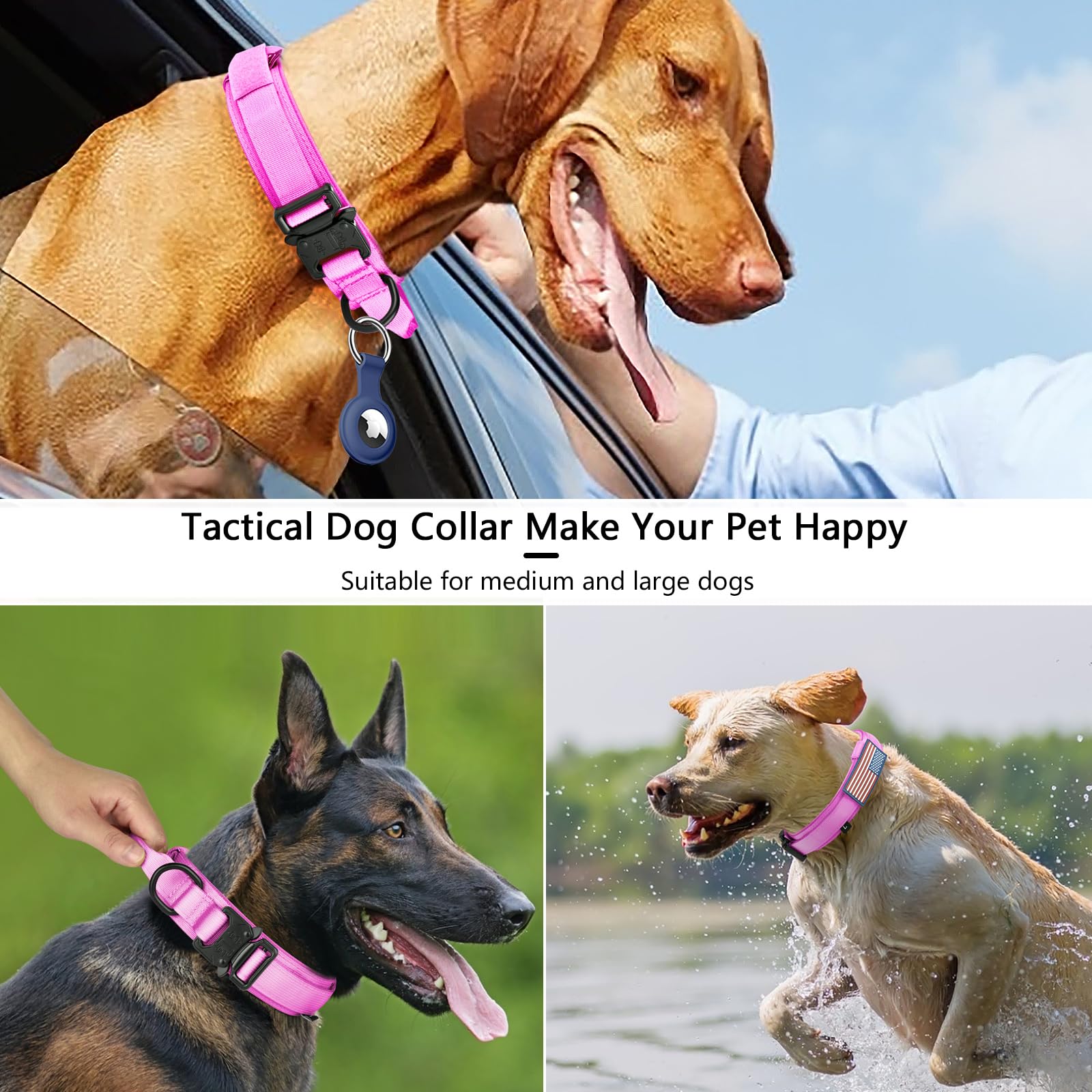 DAGANXI Collar size guide helps you find a proper fit