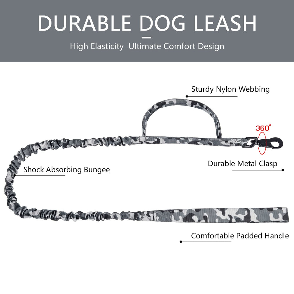 DAGANXI collar being adjusted for a proper fit on a large dog.