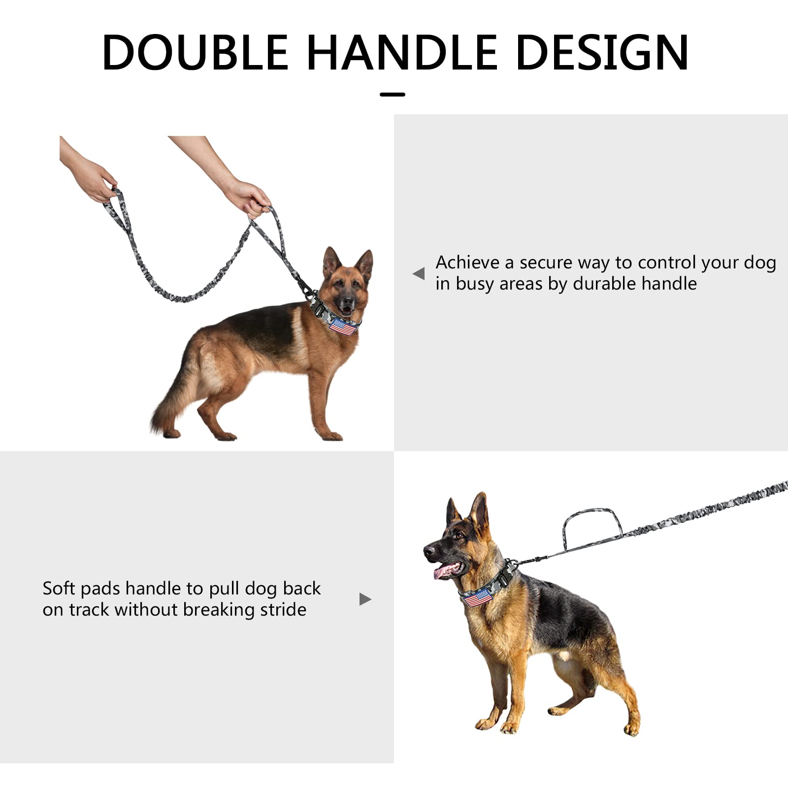 DAGANXI collar on a medium-to-large dog, ready for rugged outdoor use.