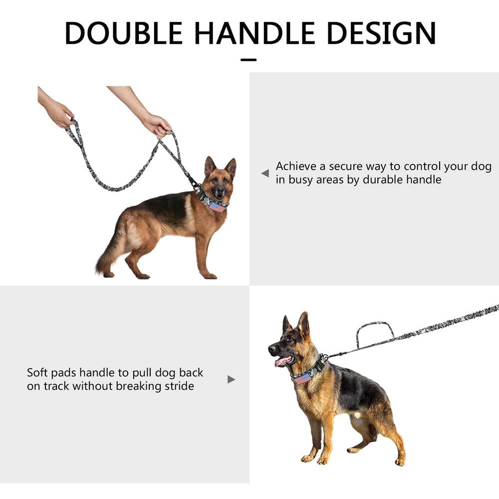 DAGANXI collar on a medium-to-large dog, ready for rugged outdoor use.