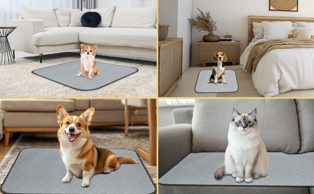 DAHAPYBOO multi-layer design dries quickly to prevent leaks