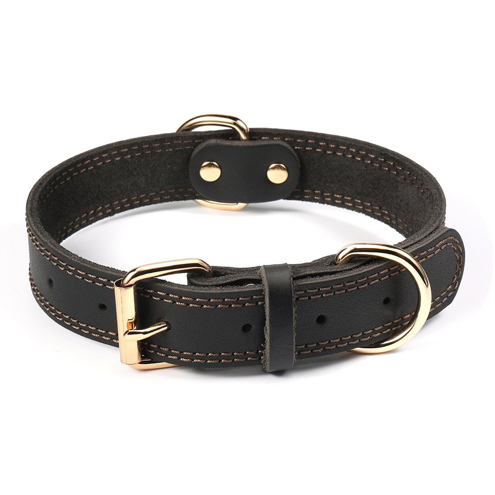 DAIHAQIKO genuine leather dog collar with 1in-wide buckle for everyday walks