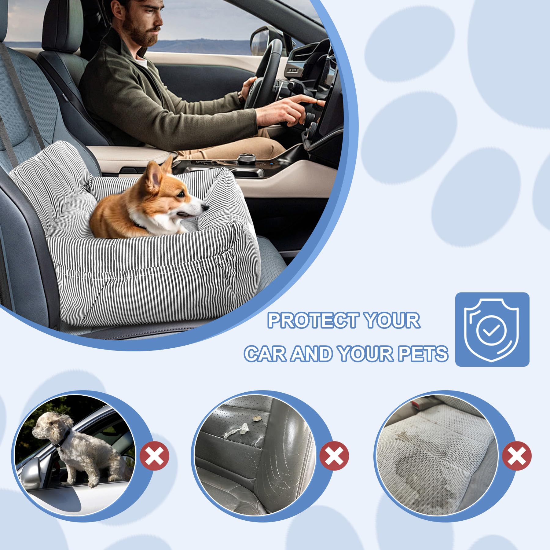 Daitore booster with clip-on leash secures small dogs in transit.