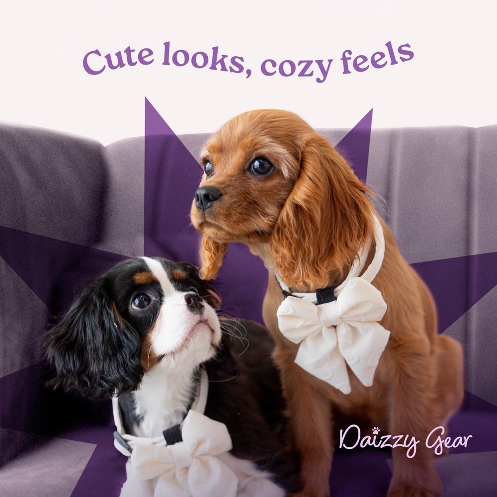 Daizzy Gear leash withstands up to 44 lbs for confident handling