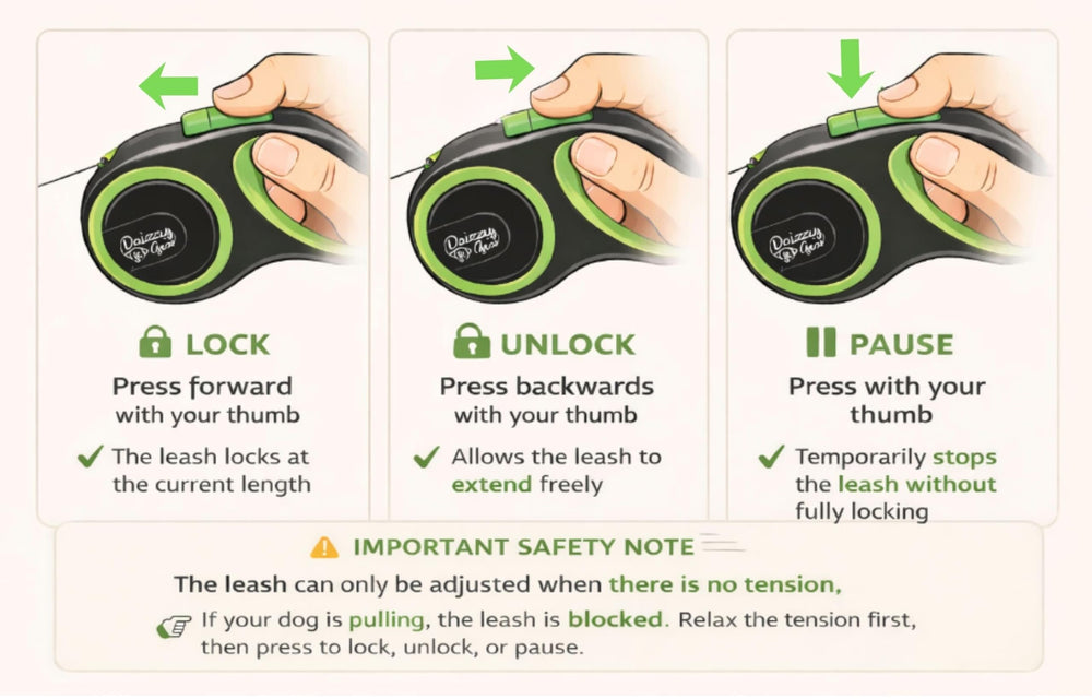 Daizzy Gear leash features reflective stitching for safer night walks