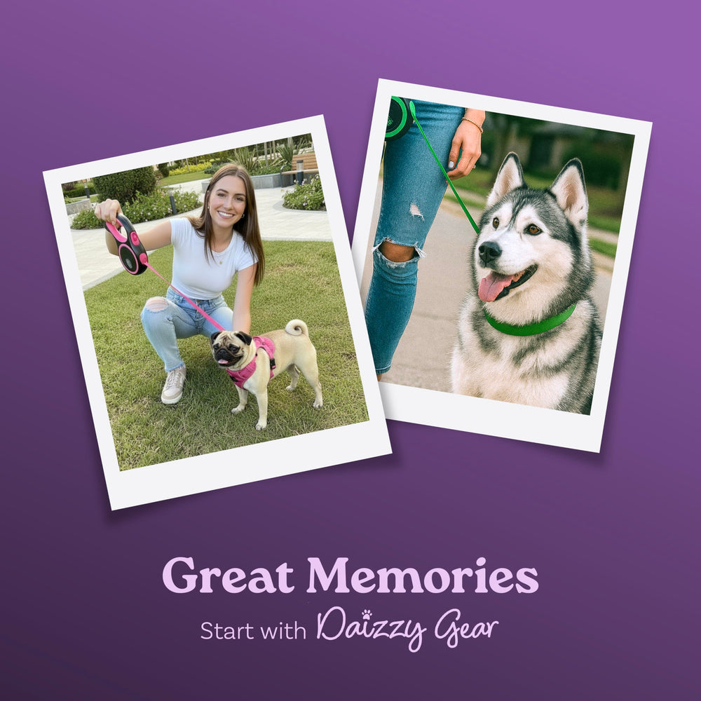 Daizzy Gear leash's smooth mechanism prevents tangles during daily outings