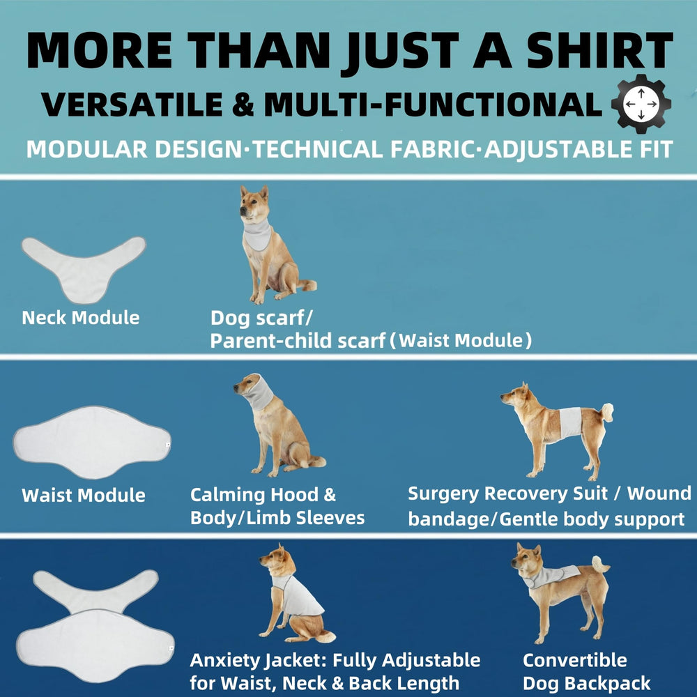DAJIDALI spay recovery suit covering chest and belly for female healing