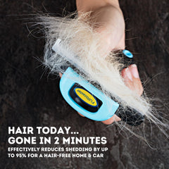 Close-up of the DakPets tool blade showing precision serration for shedding.