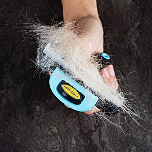 DakPets deshedding tool in action on cats and dogs for efficient grooming.