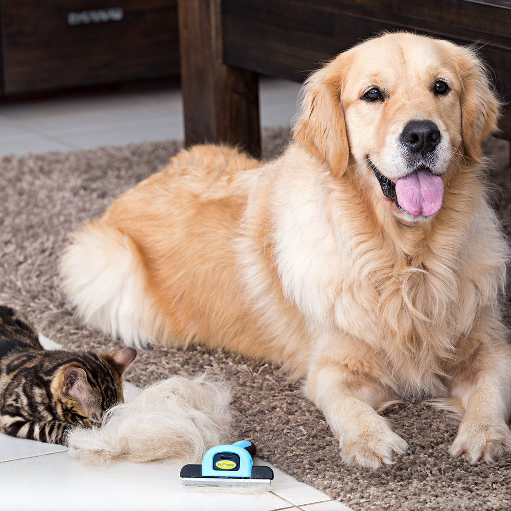 Vet-endorsed DakPets deshedding tool designed for coat varieties.