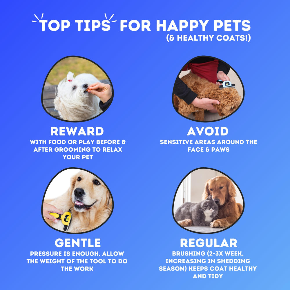 DakPets easy-clean grooming tool makes post-brush cleanup fast and simple.