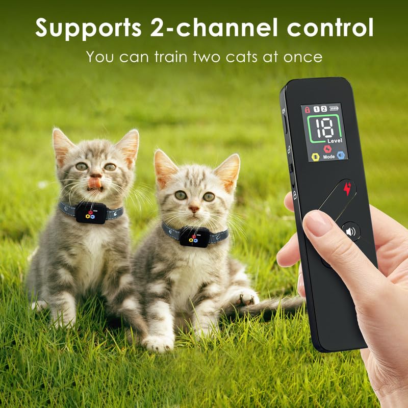 Beep, Vibration, and 0–8 level Shock modes on the Dali Energy Cat system