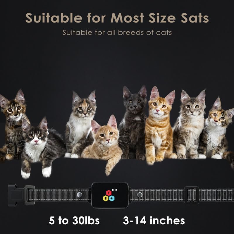 Dali Energy Cat collar with adjustable strap fits multiple cat sizes