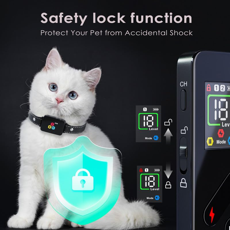 Dual-channel training mode supports two cats with Dali Energy Cat