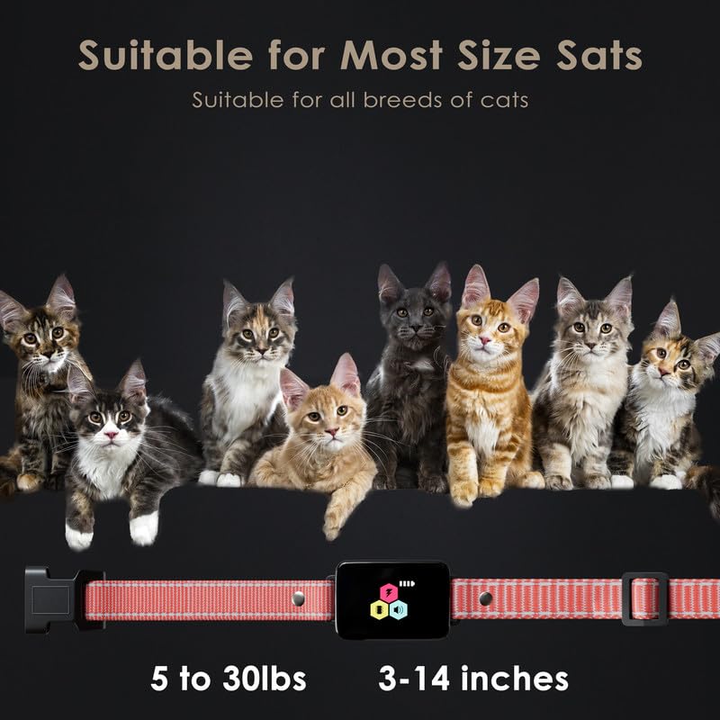 Dali Energy Cat reflective strap for better night visibility