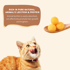 Dancing Tail close-up texture shows crunchy quail yolk snack for dogs and cats