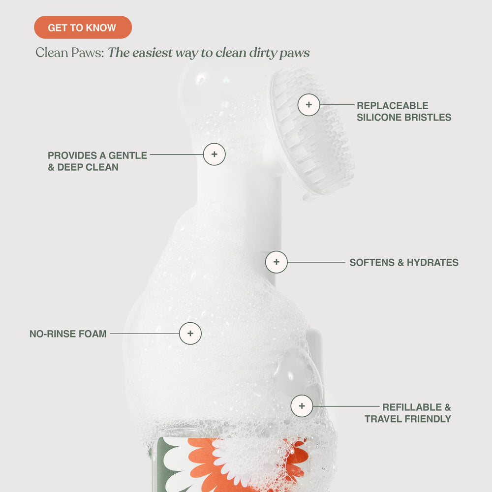 Dandylion foaming cleanser for paws demonstrating no-rinse performance.