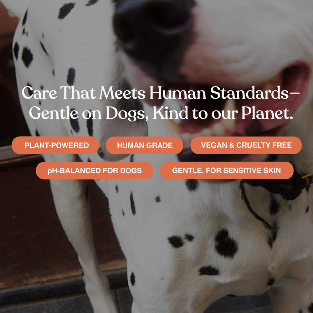 Dandylion plant-based formula ingredients highlight gentle paw cleansing.