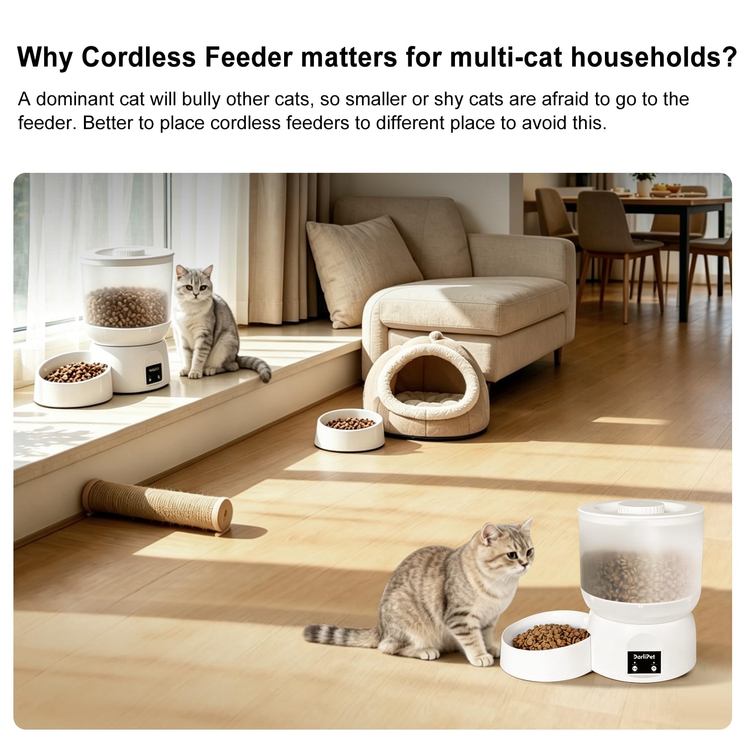 Darlipet 2.5L capacity fits cats or small dogs for in-home feeding.