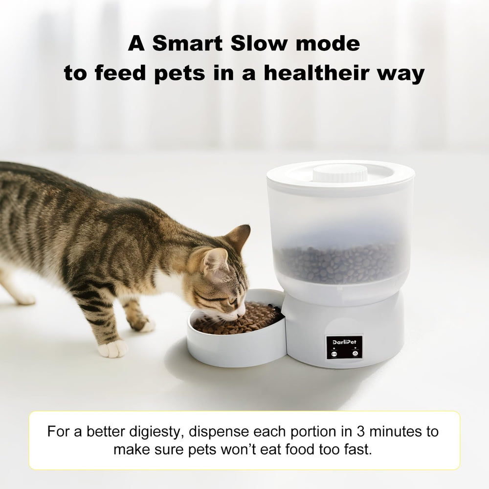 Darlipet's very quiet dispensing motor keeps pets calm during feeding.
