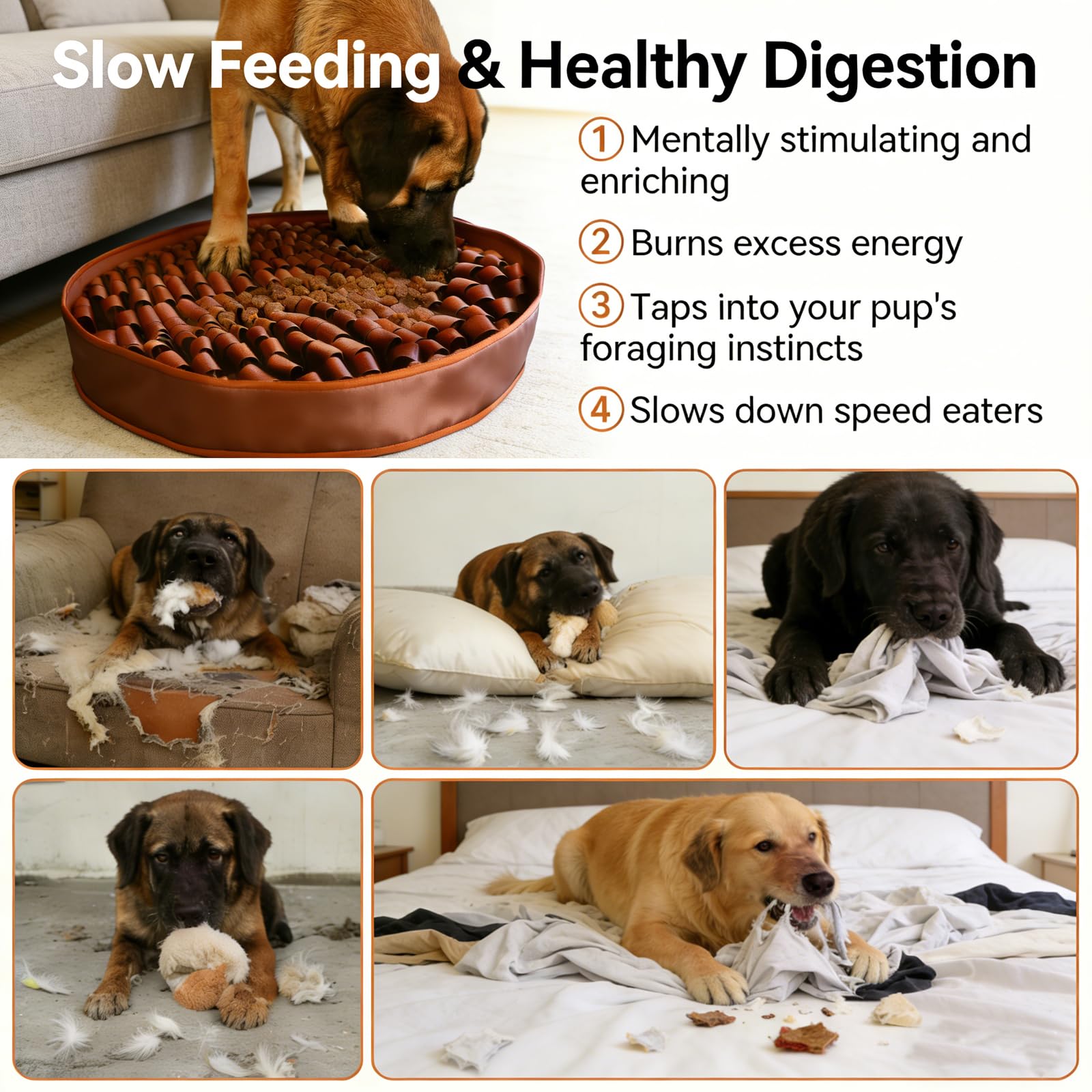Durable webbing resists tearing for long-lasting enrichment.