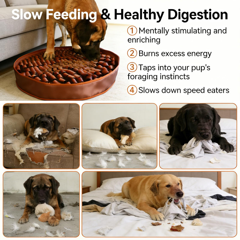 Durable webbing resists tearing for long-lasting enrichment.
