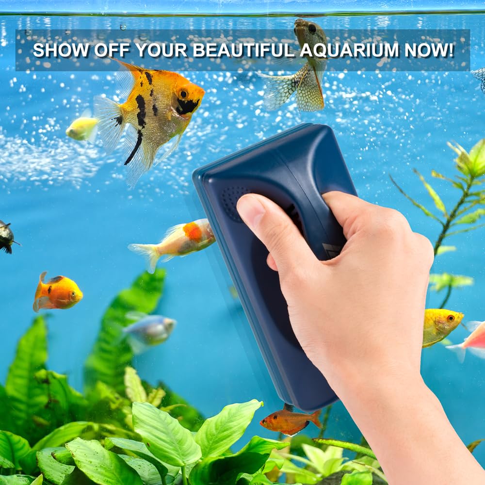 DaToo 1-year warranty and service support.