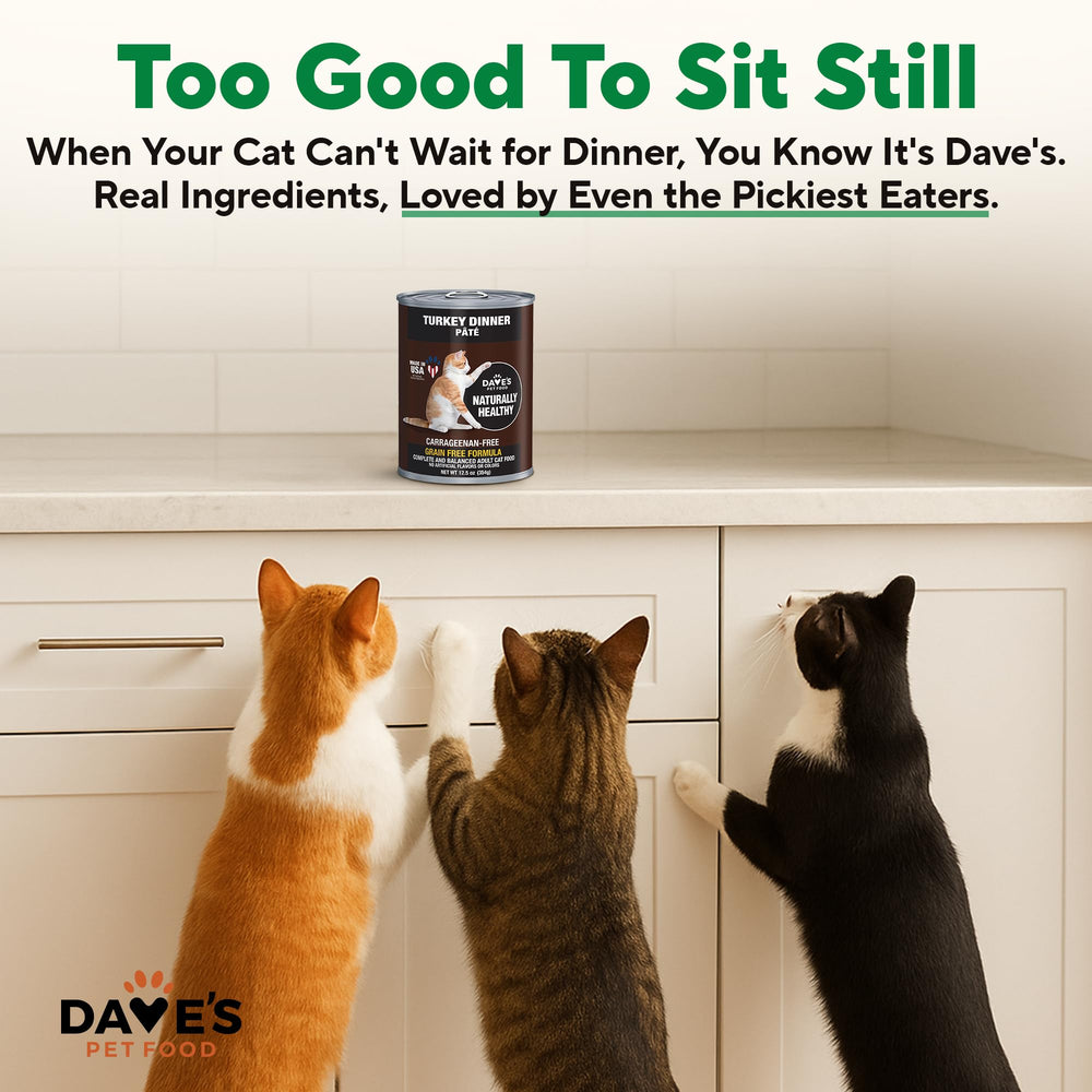 Dave's Pet Food 12-ounce can packaging showcases convenient daily servings.