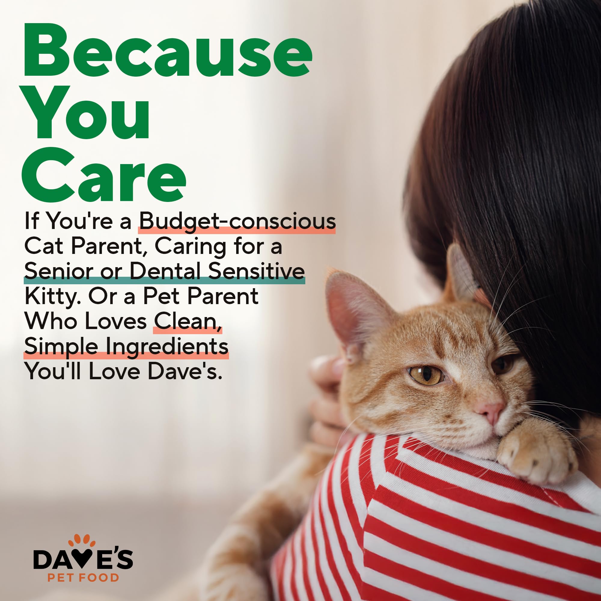 Dave's 24-pack box display offers convenient bulk purchase for cats